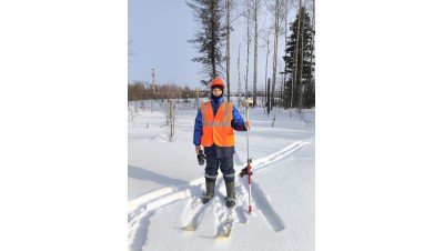 В процессе полевых работ