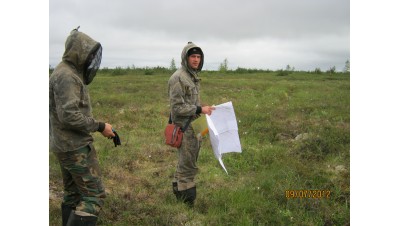 В процессе полевых работ